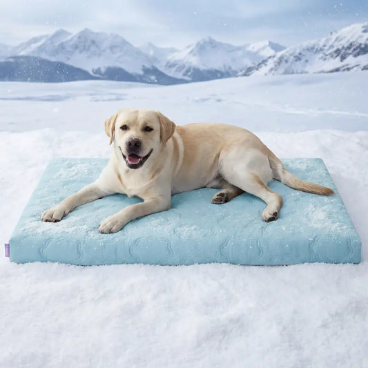 Cooling Mat for Dogs | Washable Pet Cooling Mat